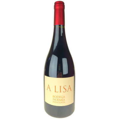 Rio Negro Valley A Lisa rouge 2022, Bodega Noemia